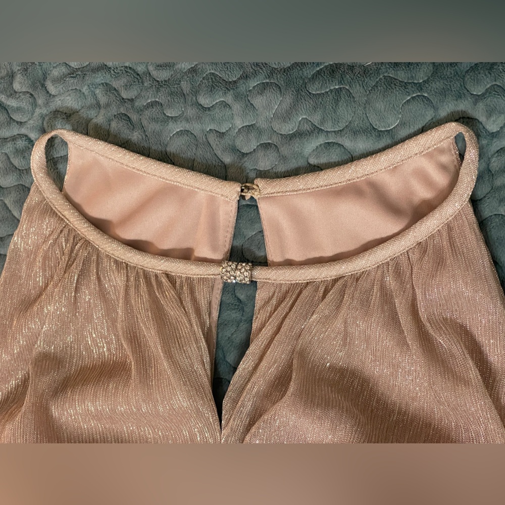 Oleg Cassini Metallic Formal Evening Gown Sz 20W Blush Sleeveless Full Length - Picture 5 of 14